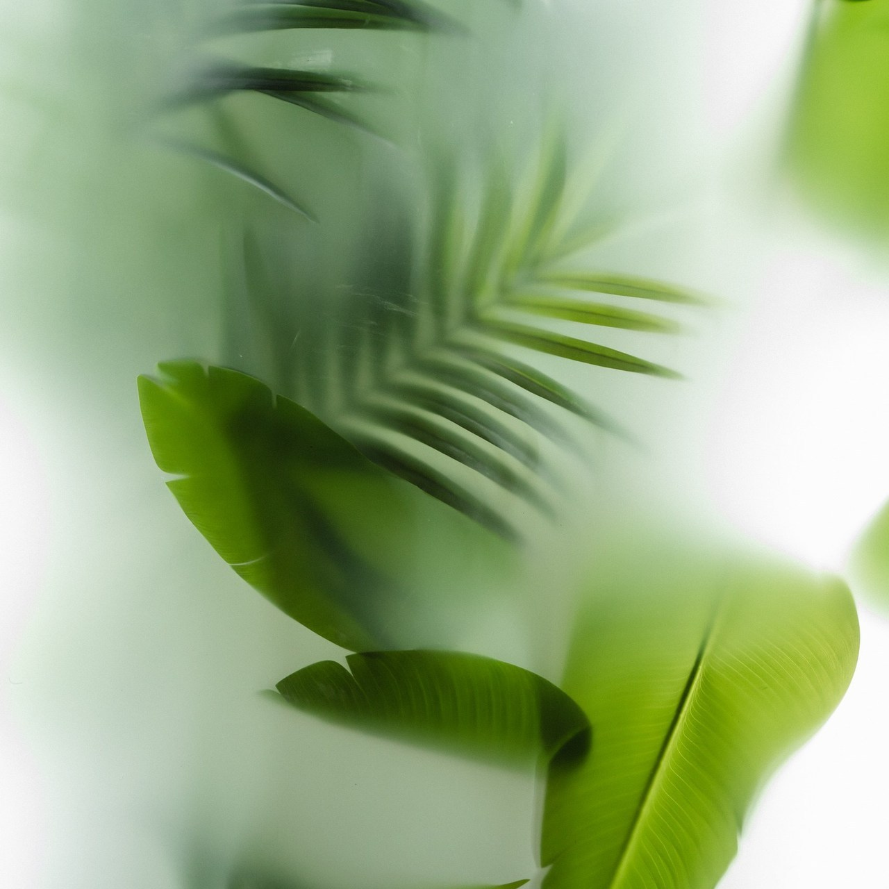 Отзывы. Женский и семейный лайфстайл фотограф в Уфе Лайт Альбина