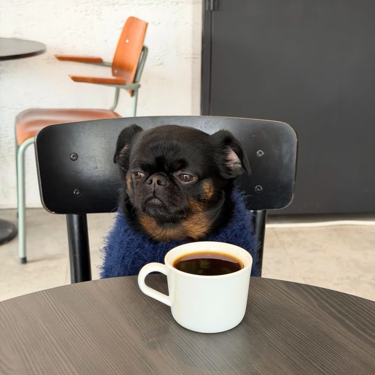 Отзывы. Профессиональный фотограф в Москве — Руслан Альтимиров