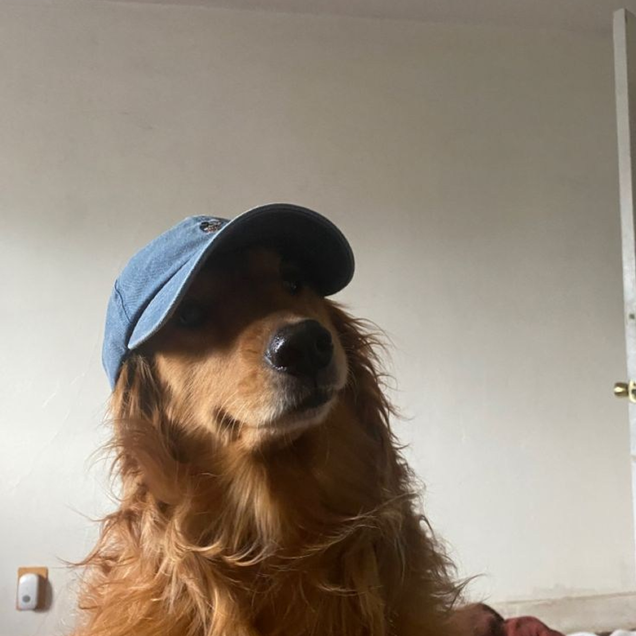 Отзывы. Квартиры посуточно, длительно в Сочи, LARA APART GROUP