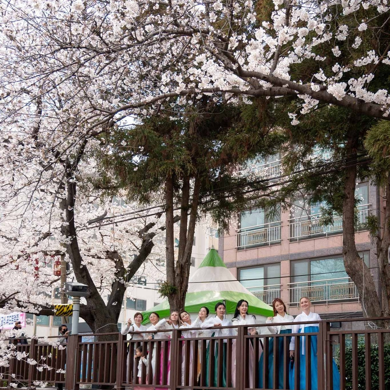 Review. Busan photographer | Фотограф Пусан