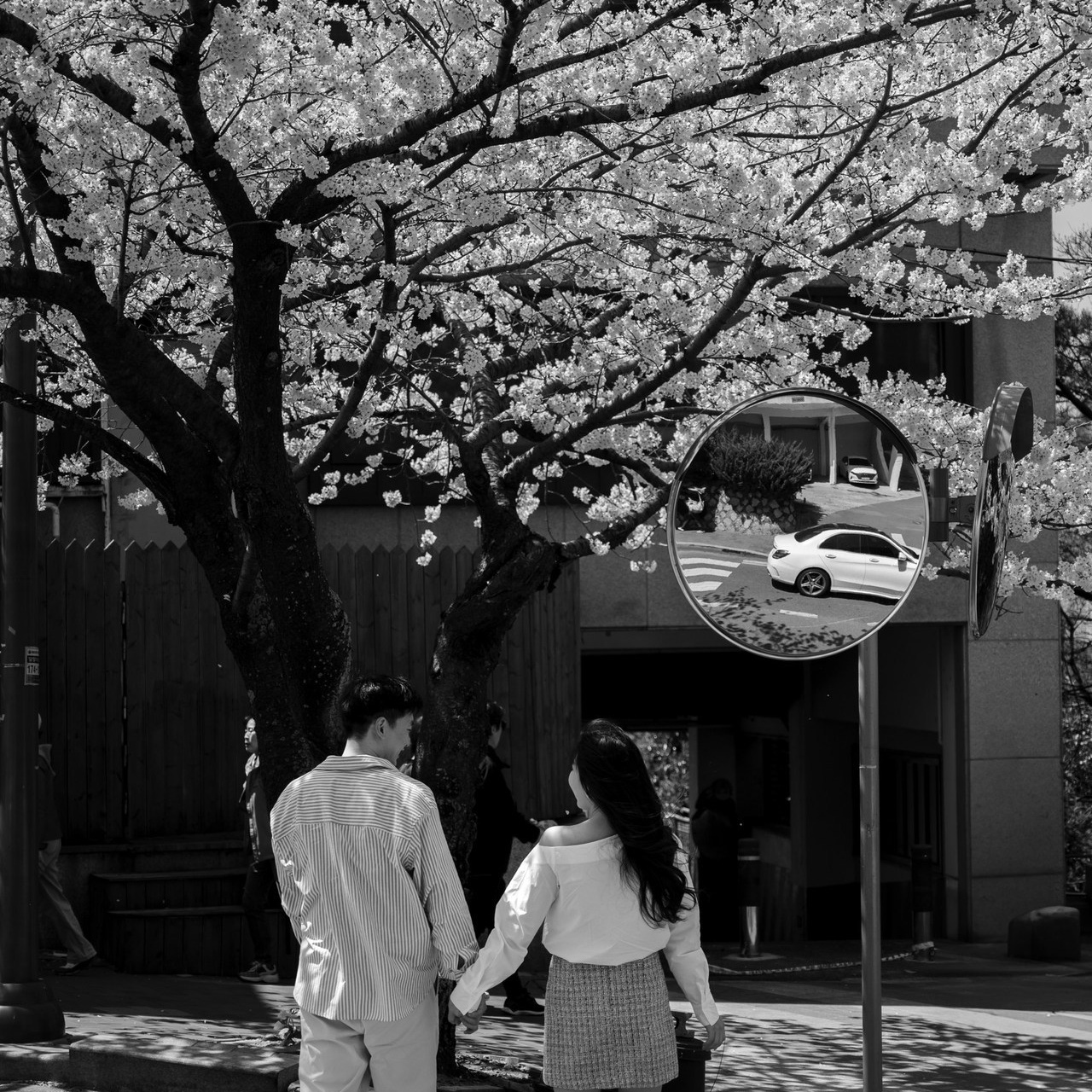 Review. Busan photographer | Фотограф Пусан