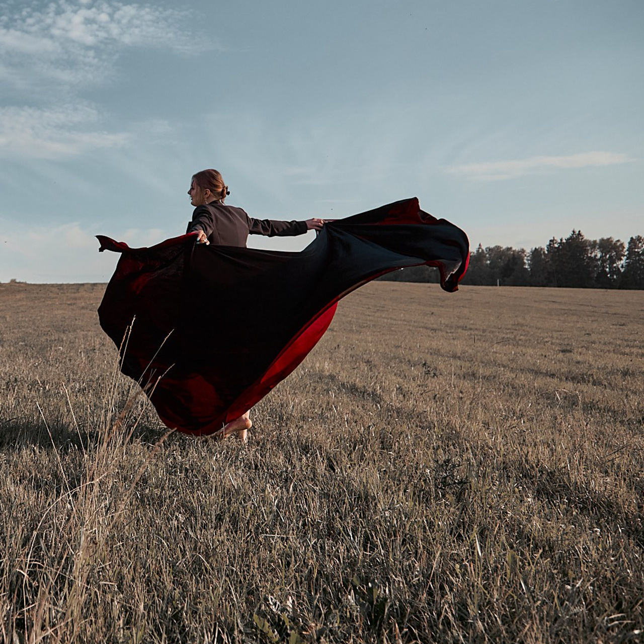 Индивидуальная сюжетная фотосессия. Visual artist (photo & arts)