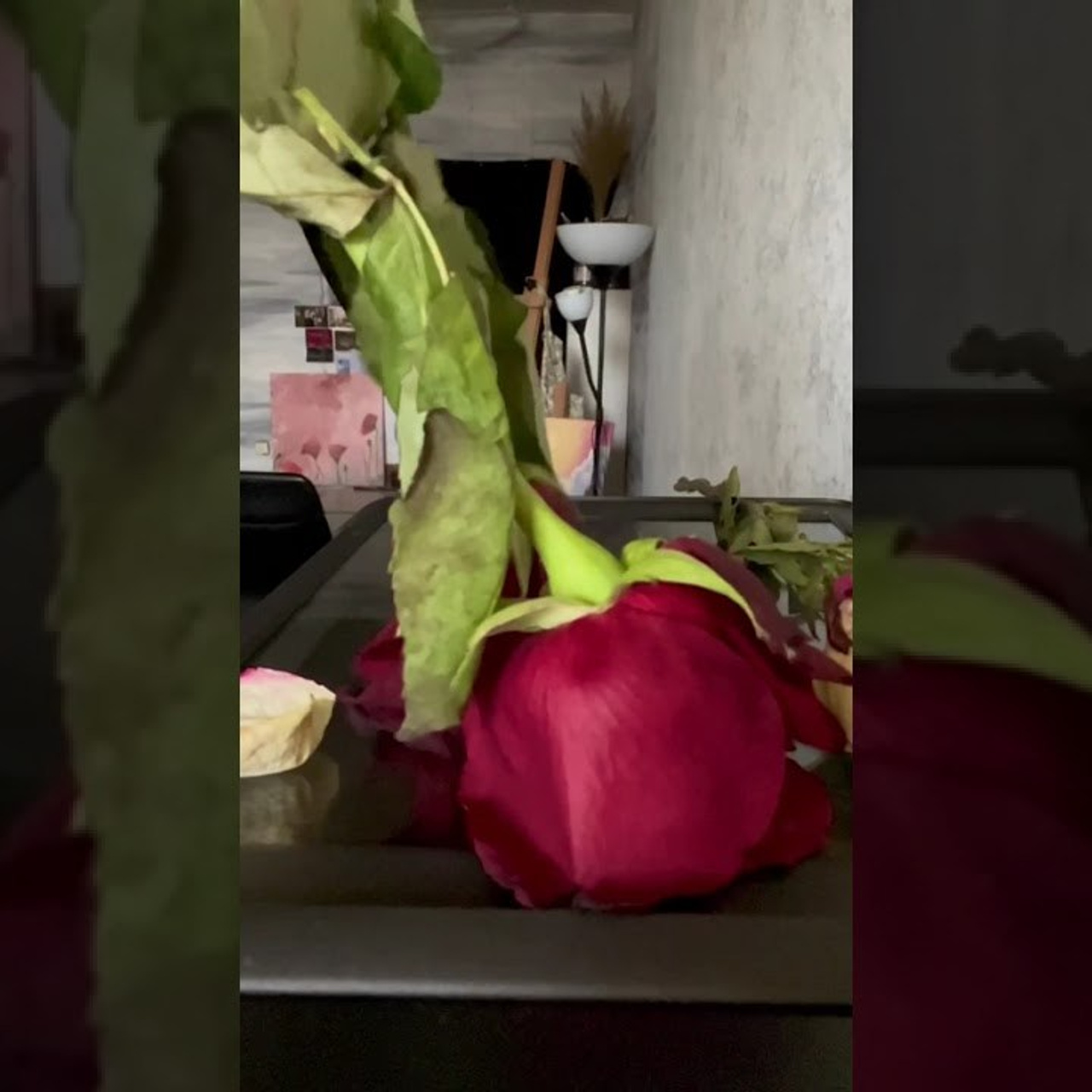 Distorted Botanicals & Objects. Сканография. Visual artist (photo & arts)