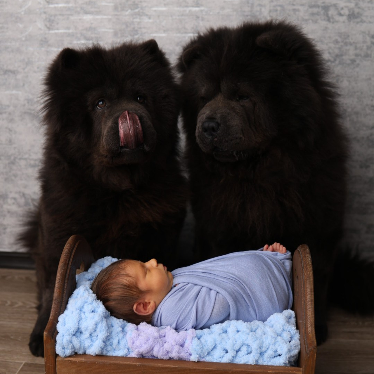 Анна Новый год в стиле Vogue. Фотограф беременности и новорожденных Мария Еремина Южно-Сахалинск