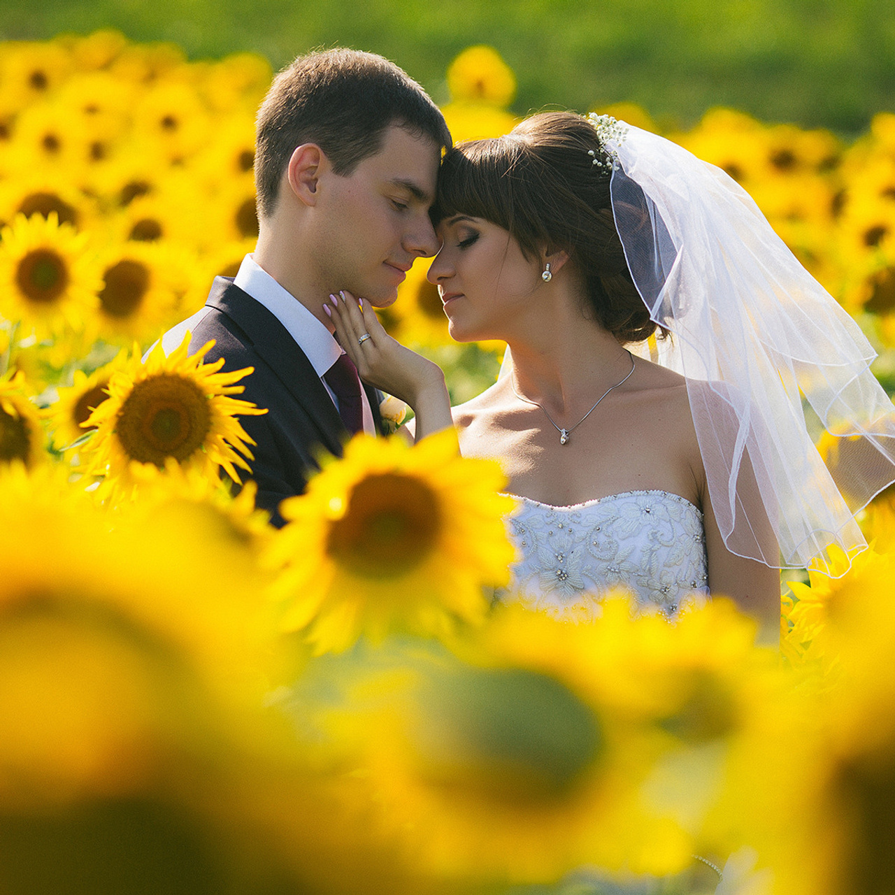 Отзывы. Портретный, семейный и свадебный фотограф в Курске Роман Сазонов
