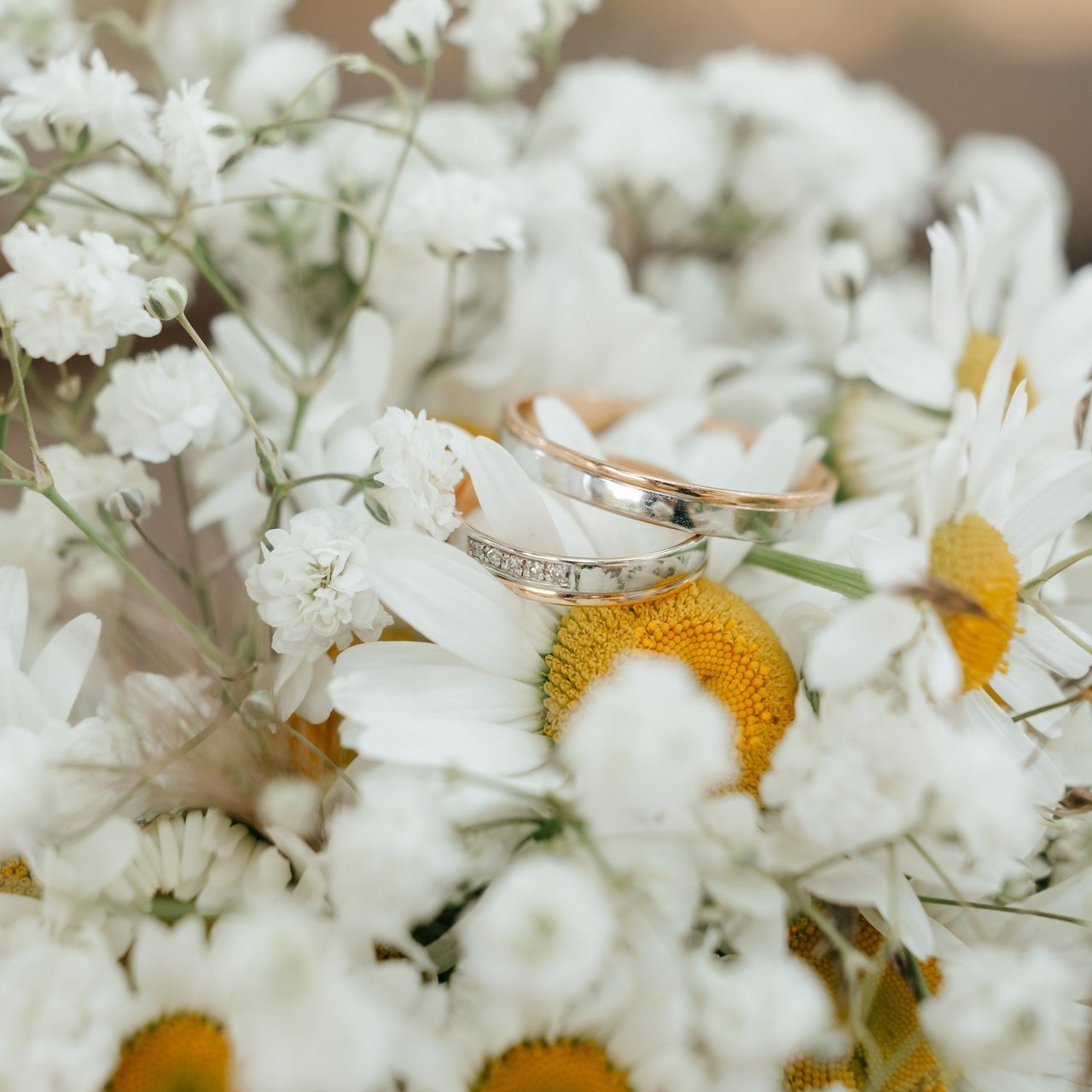Отзывы. Семейный и свадебный фотограф в Санкт-Петербурге и Москве