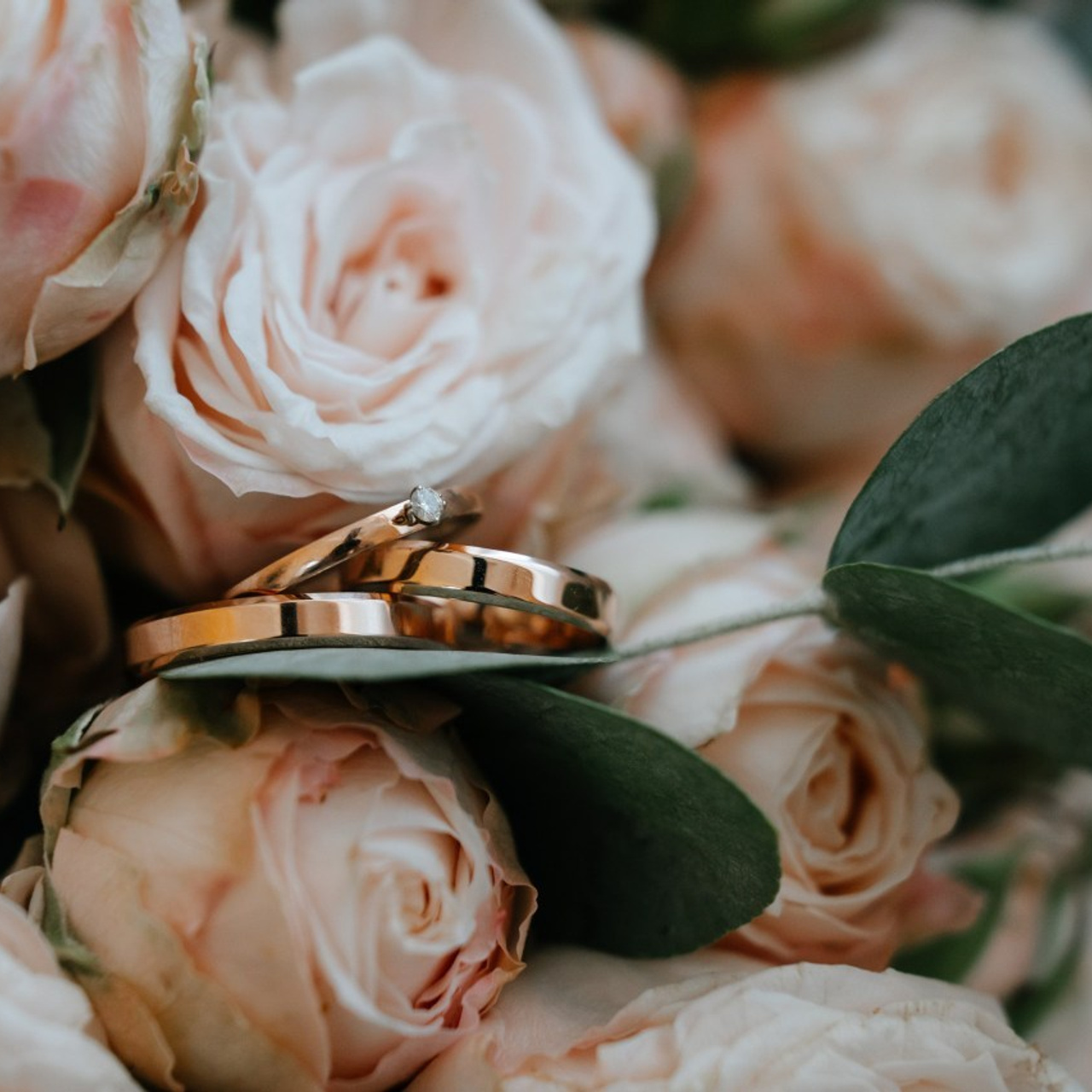 Отзывы. Семейный и свадебный фотограф в Санкт-Петербурге и Москве