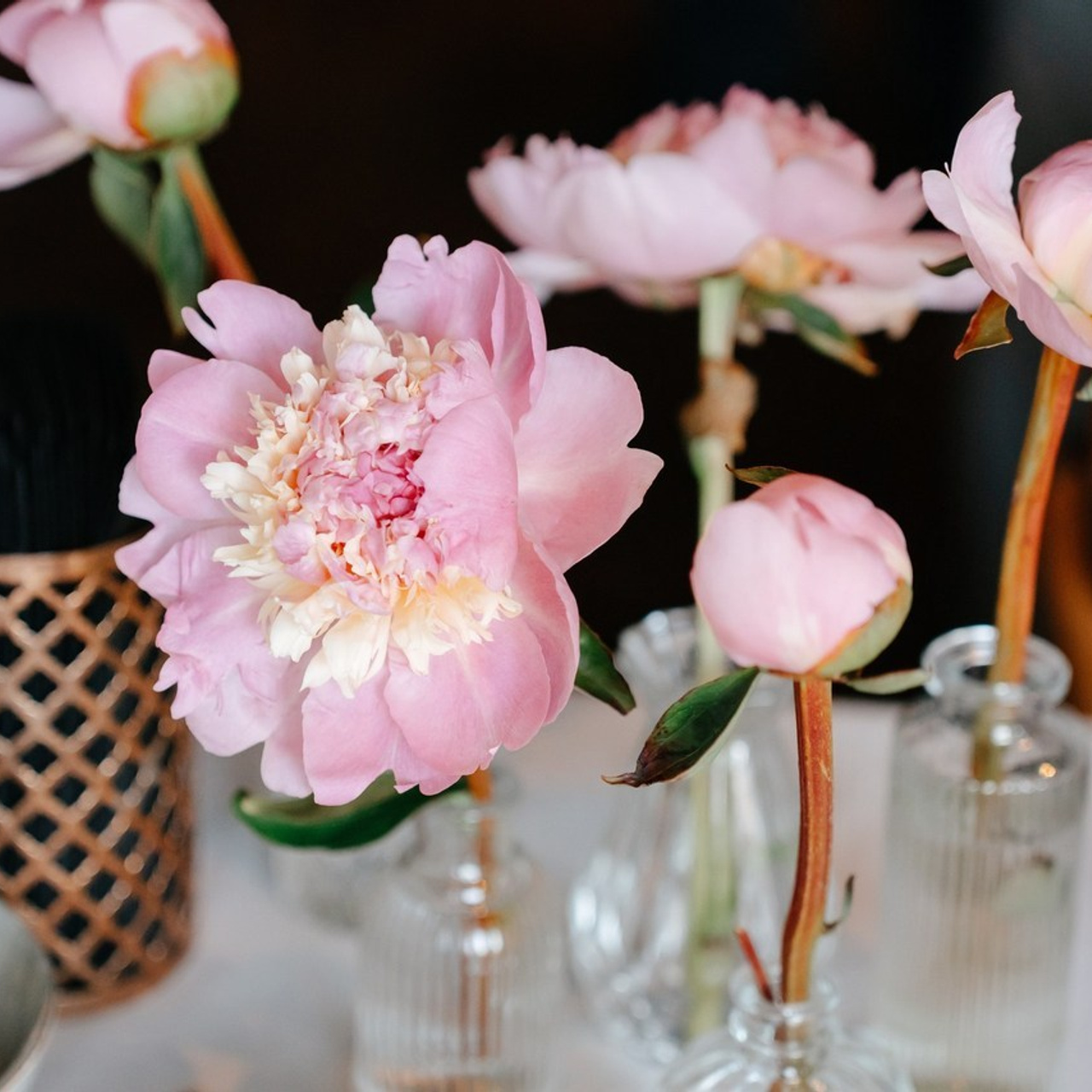 Отзывы. Семейный и свадебный фотограф в Санкт-Петербурге и Москве