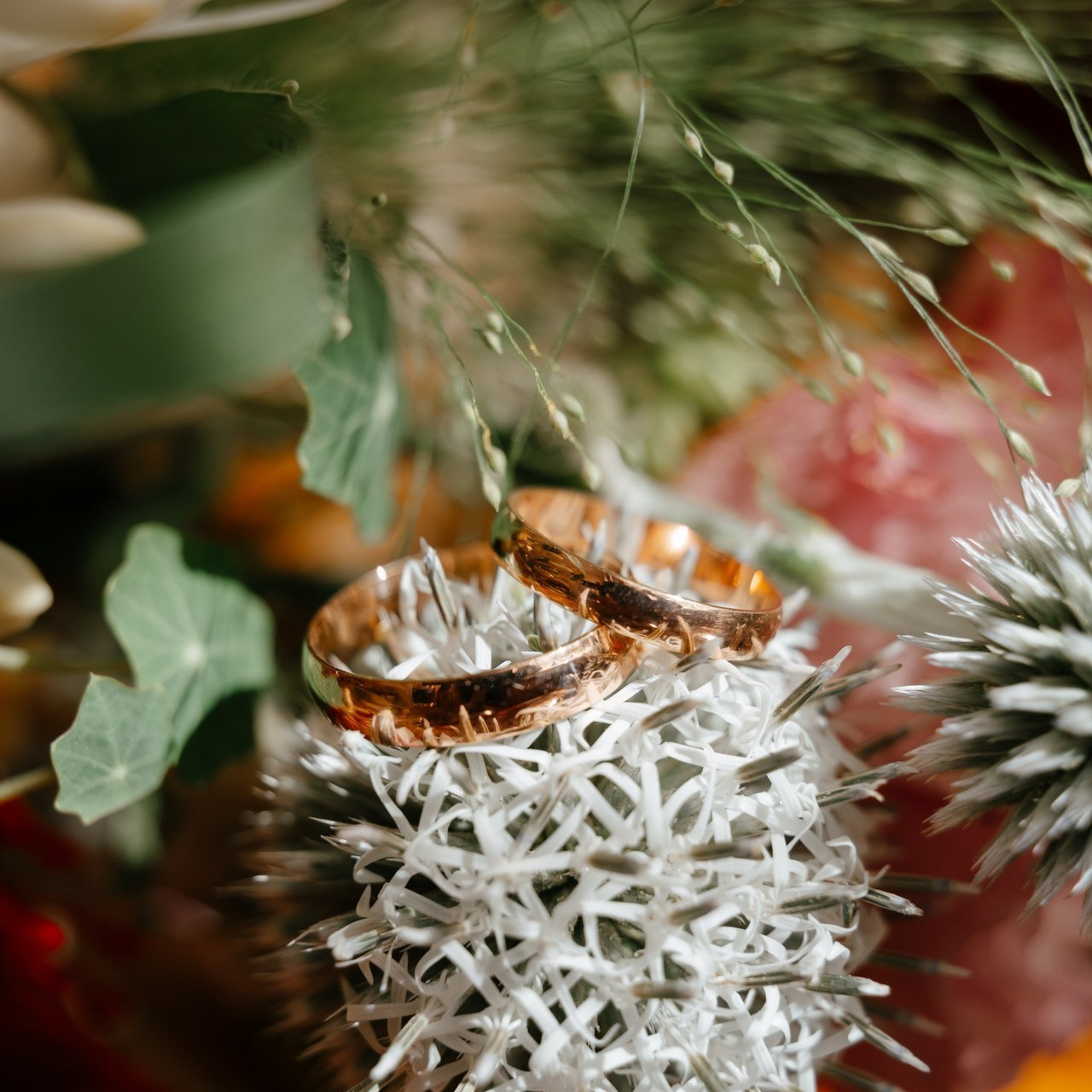 Отзывы. Семейный и свадебный фотограф в Санкт-Петербурге и Москве