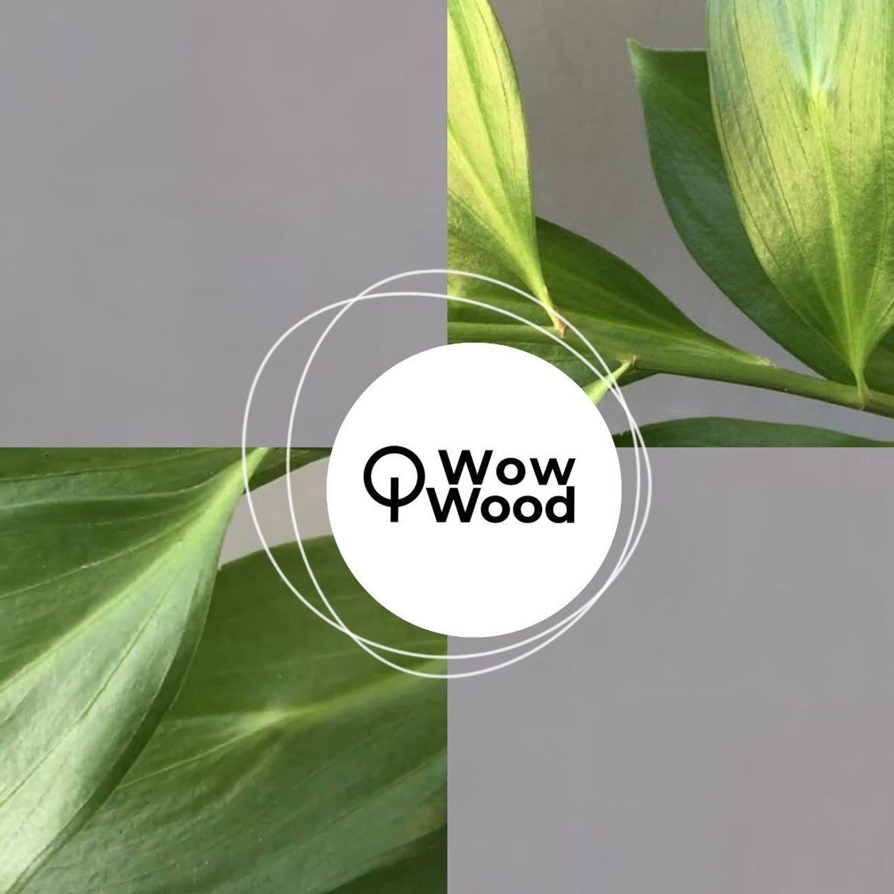 СПб фотограф отзывы о работе. Фотограф в СПб. Мария phspbmary