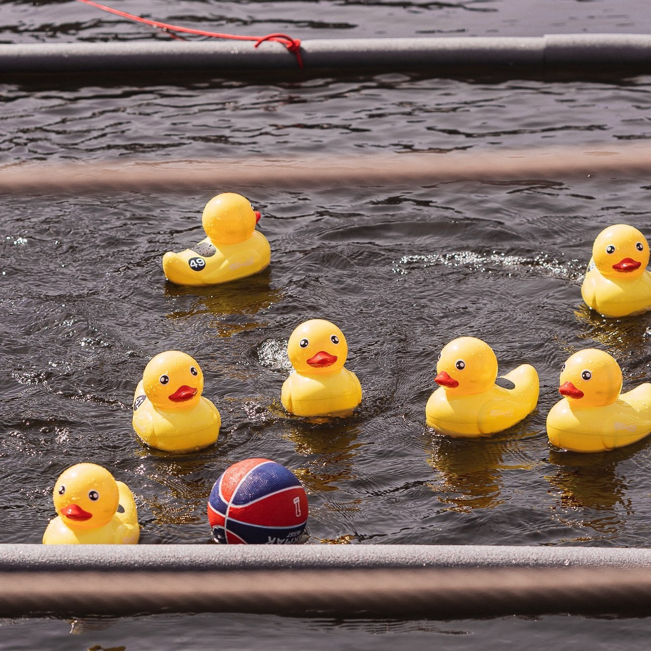 Отзывы. Фотограф Булат Сабитов