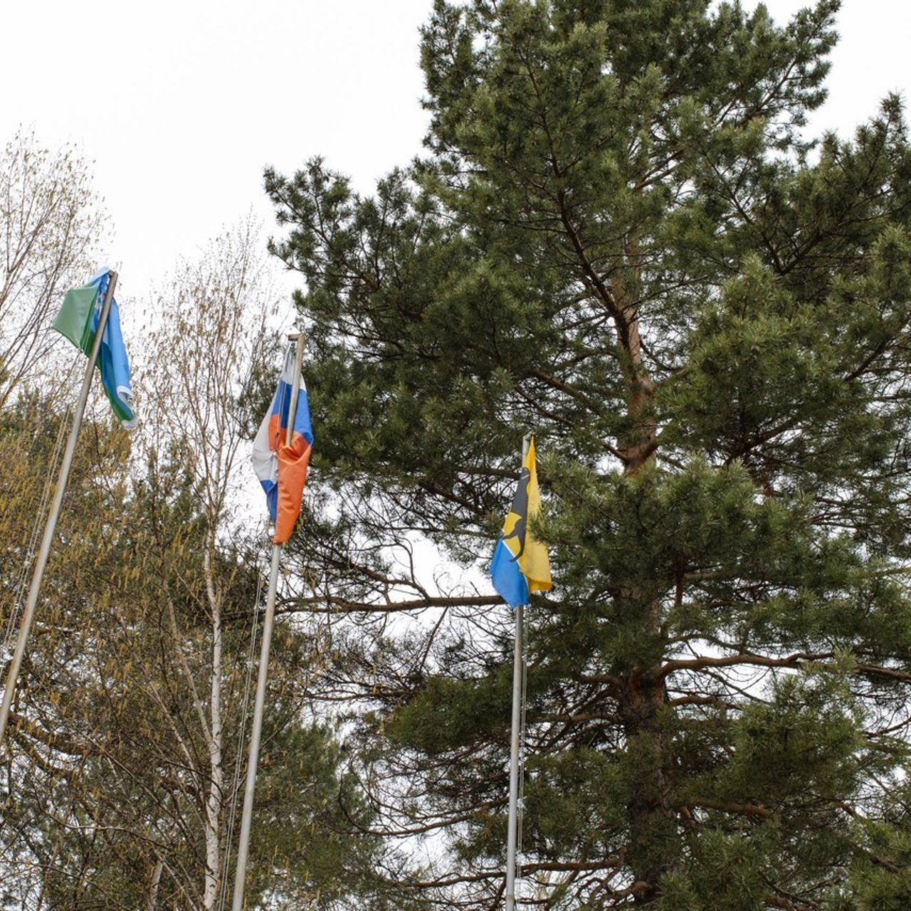 Отзывы. Свадебные фотографы в г. Сургут Маркова Наталья и Замахина Елена