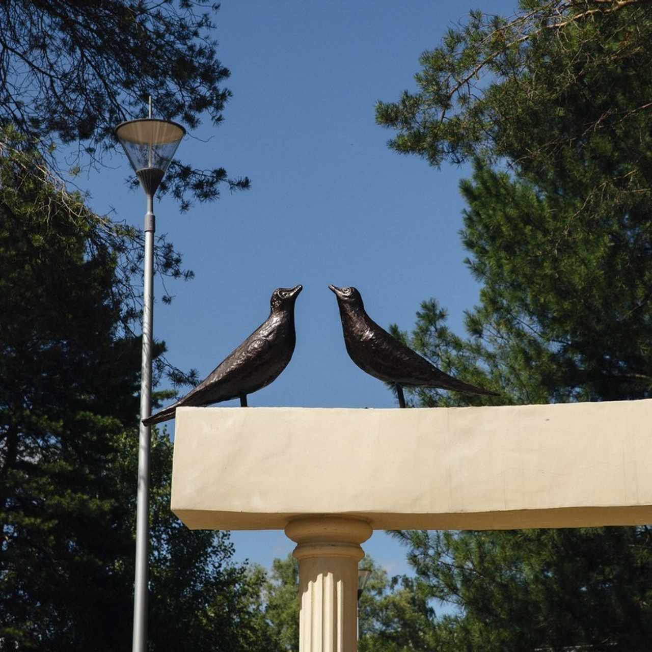 Отзывы. Свадебные фотографы в г. Сургут Маркова Наталья и Замахина Елена