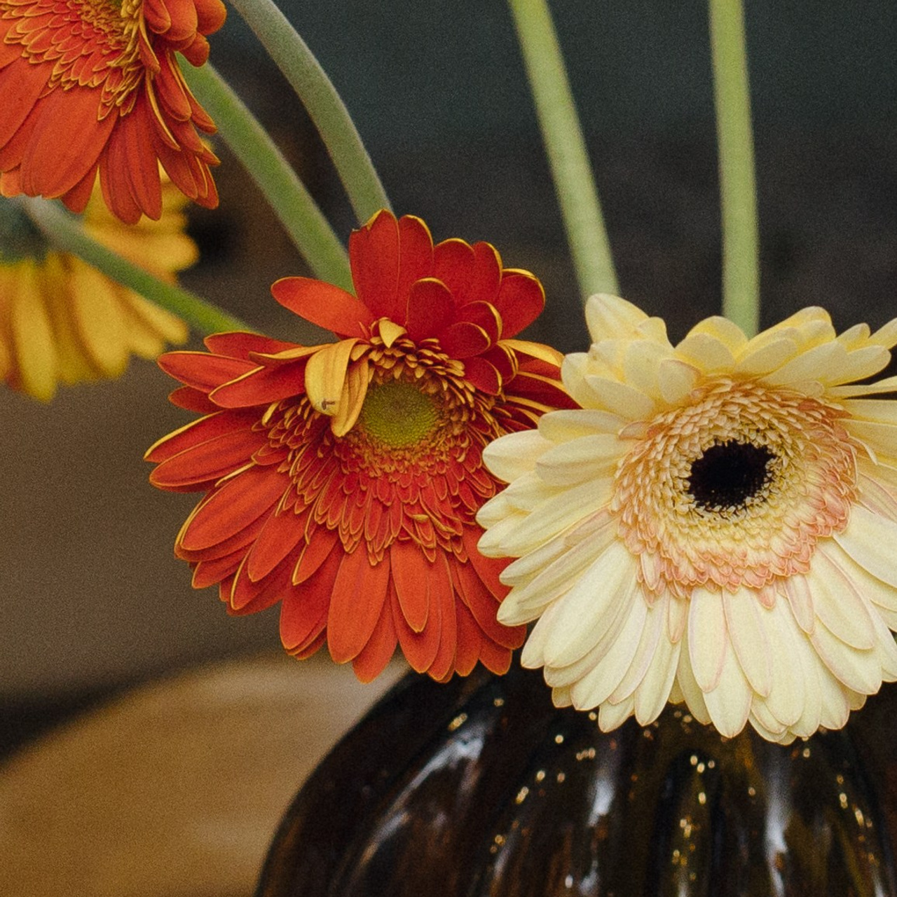 «Sentori» (презентация меню)