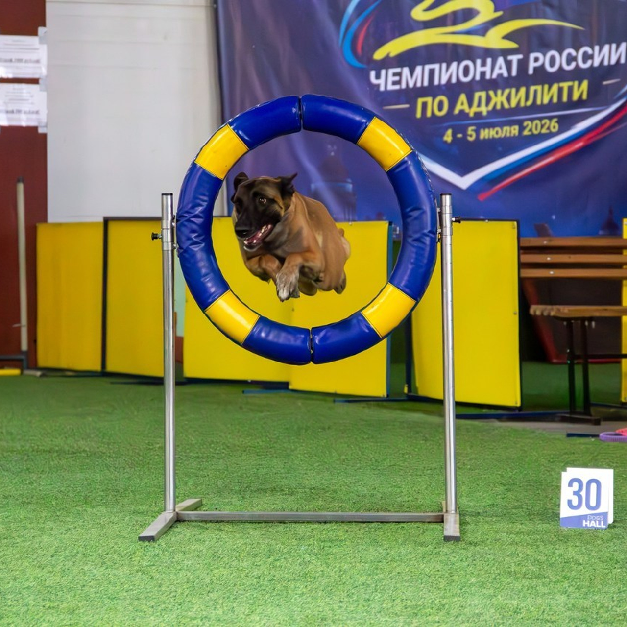 Отзывы. Фотозаметки Лины Юговой | фотограф-анималист