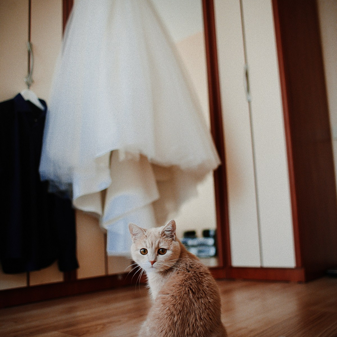 Блог | фотосессии Семейные, праздники, детские, выпуски, свадьбы,. Фотограф крещение венчание в Петербурге! Помогает подобрать храм и посоветовал душевного батюшку в СПб