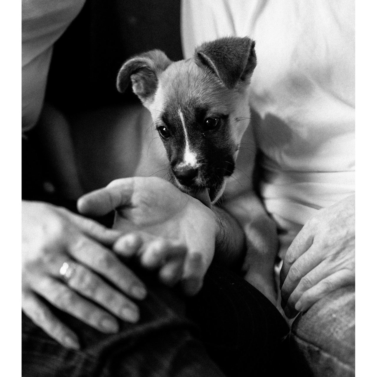 Отзывы. Вивьен Кей — фотограф в Перми