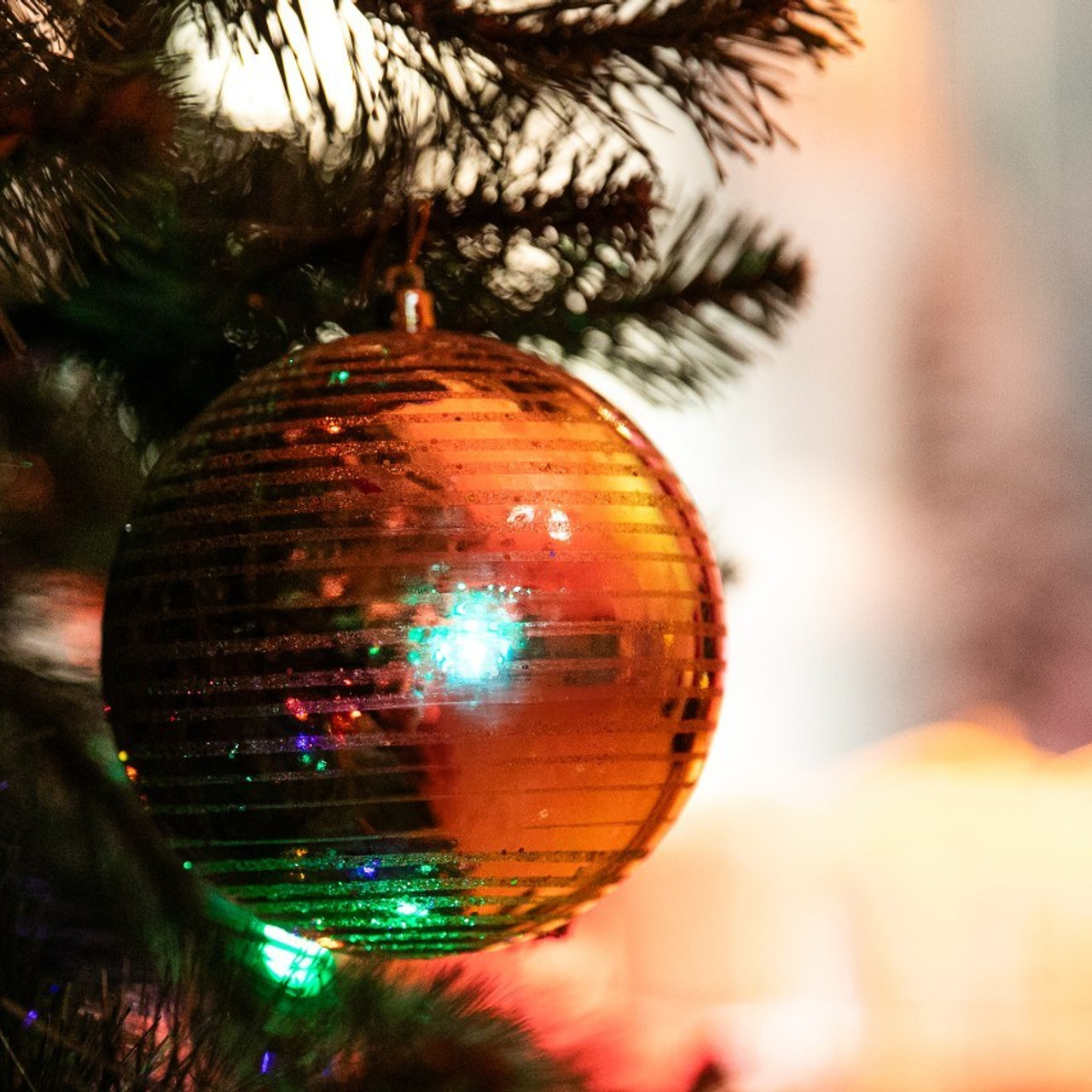 Отзывы. Фотограф Елена Вишневская (Ушакова) Нефтеюганск, Сургут, Тюмень