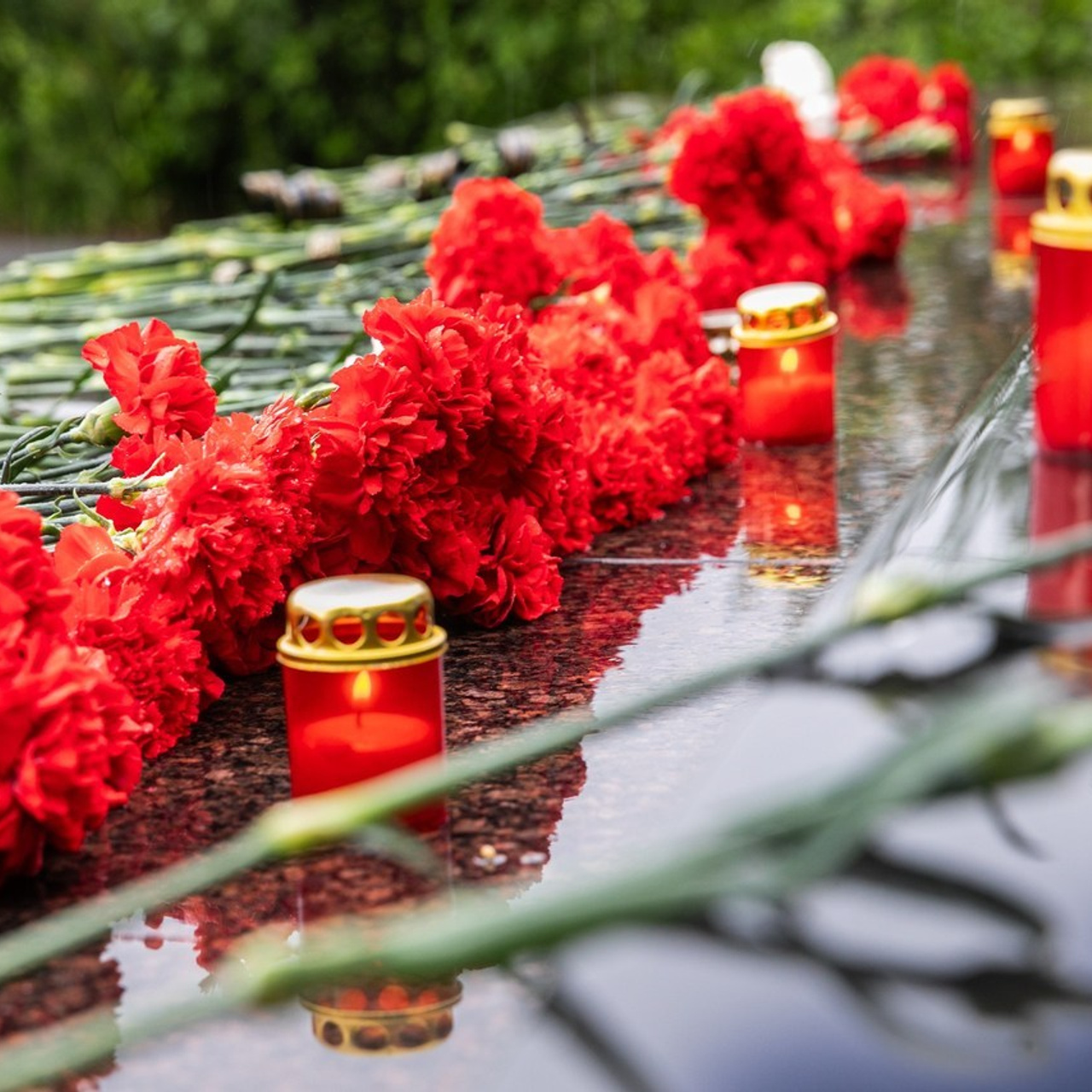 Отзывы. Фотограф Елена Вишневская (Ушакова) Нефтеюганск, Сургут, Тюмень