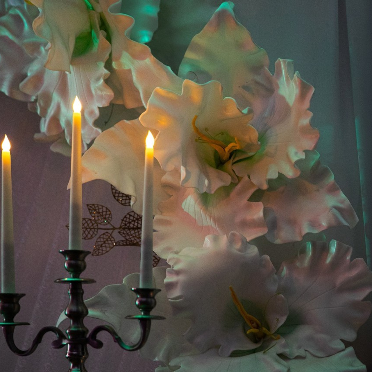 Отзывы. Фотограф Елена Вишневская (Ушакова) Нефтеюганск, Сургут, Тюмень