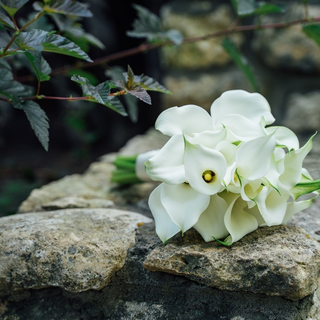 Фотограф Владимир Петров — отзывы. Свадебный фотограф в Коломне, Воскресенске, Егорьевске Владимир Петров