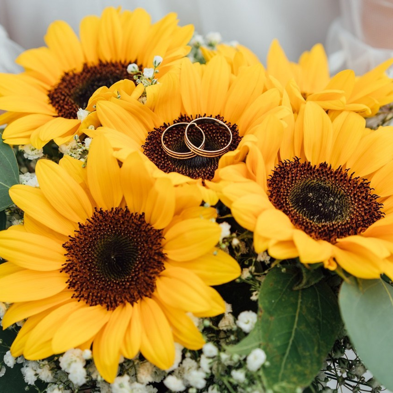 Фотограф Владимир Петров — отзывы. Свадебный фотограф в Коломне, Воскресенске, Егорьевске Владимир Петров