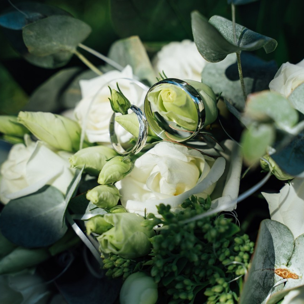 Фотограф Владимир Петров — отзывы. Свадебный фотограф в Коломне, Воскресенске, Егорьевске Владимир Петров