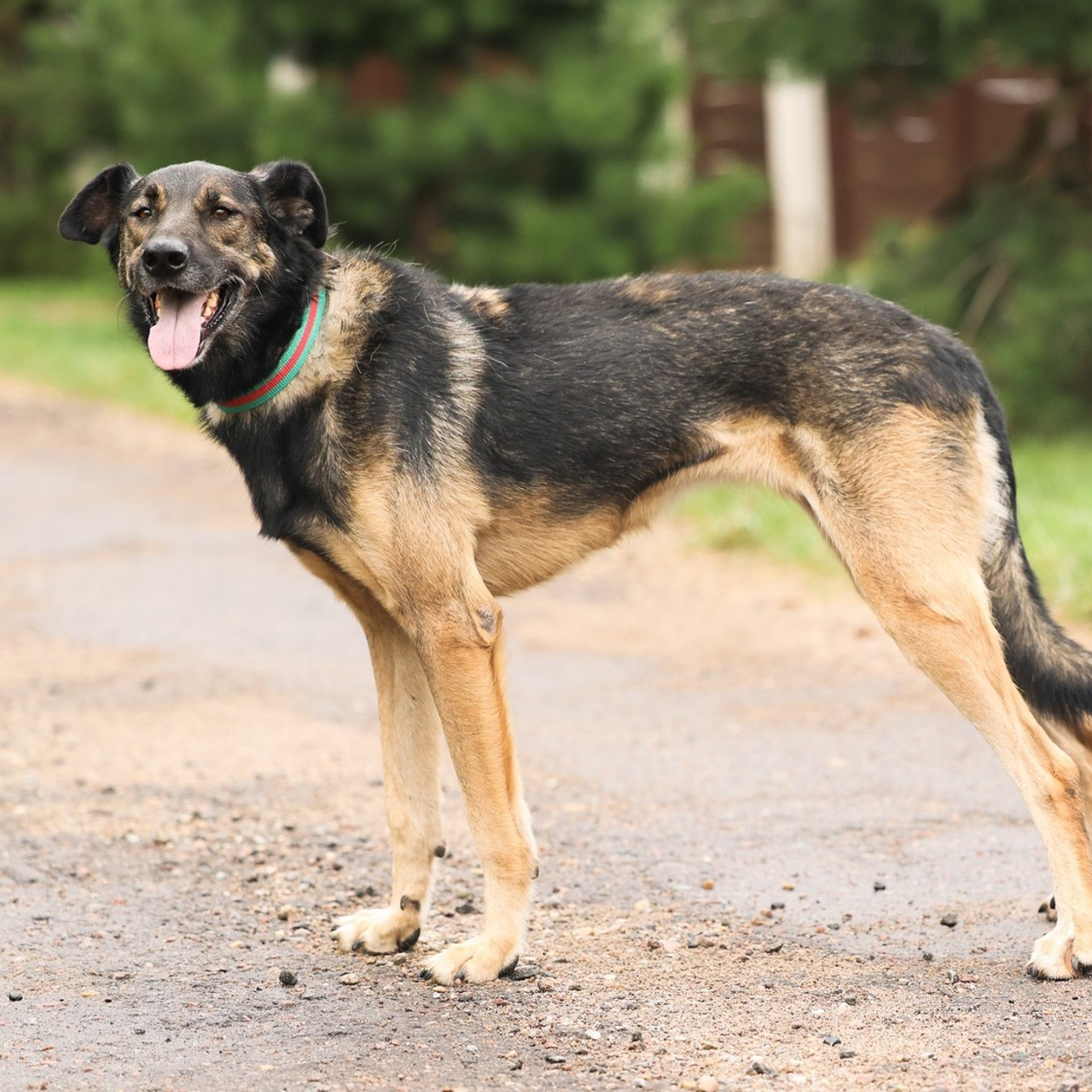 Отзывы. Фотограф-анималист Полина Колкова | Москва