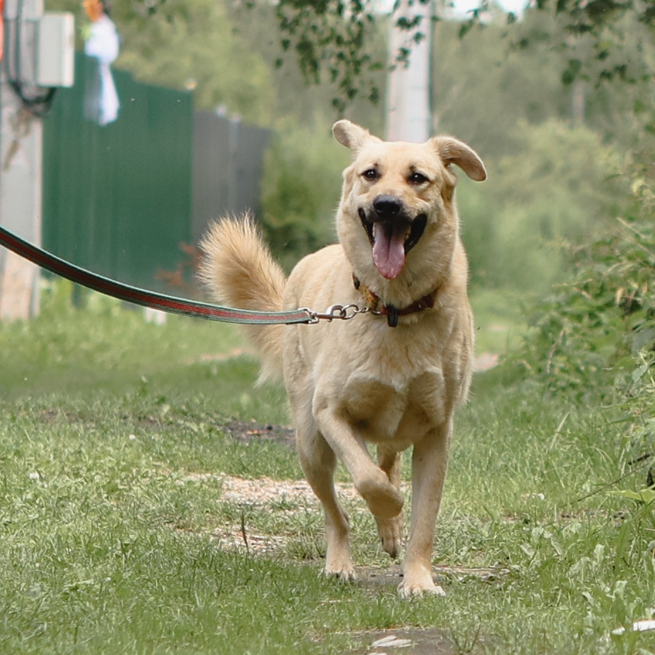 Отзывы. Фотограф-анималист Полина Колкова | Москва