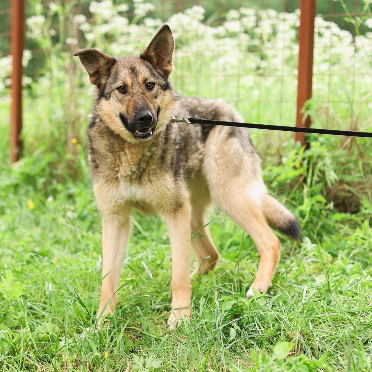 Отзывы. Фотограф-анималист Полина Колкова | Москва