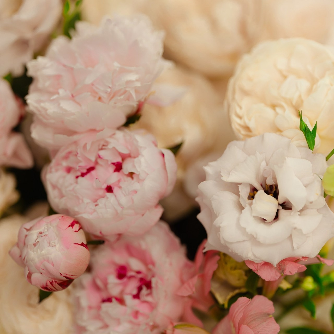 Отзывы. Свадебный и семейный фотограф | SVET.photo