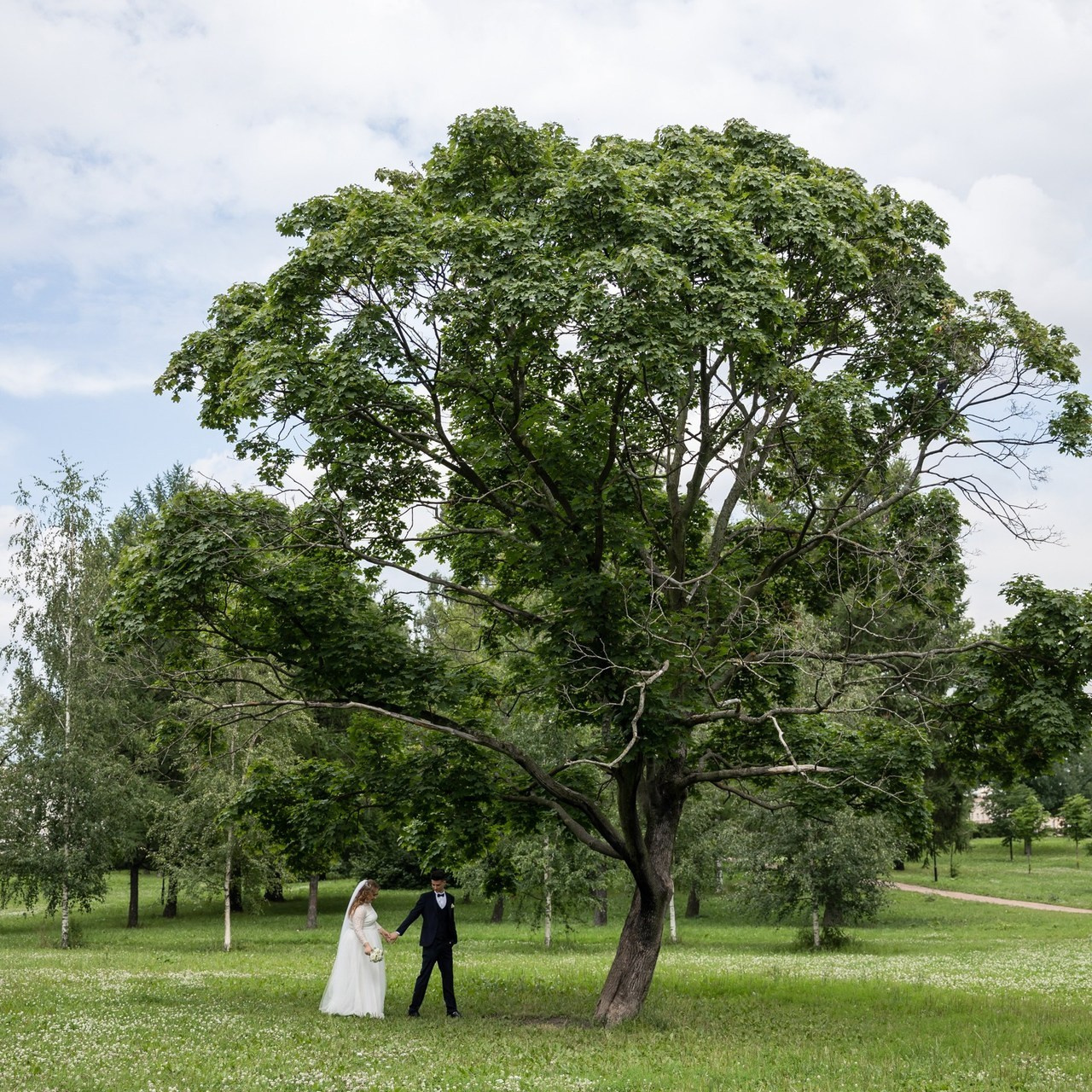 Отзывы. Свадебный фотограф Санкт-Петербург Катерина Ширяева