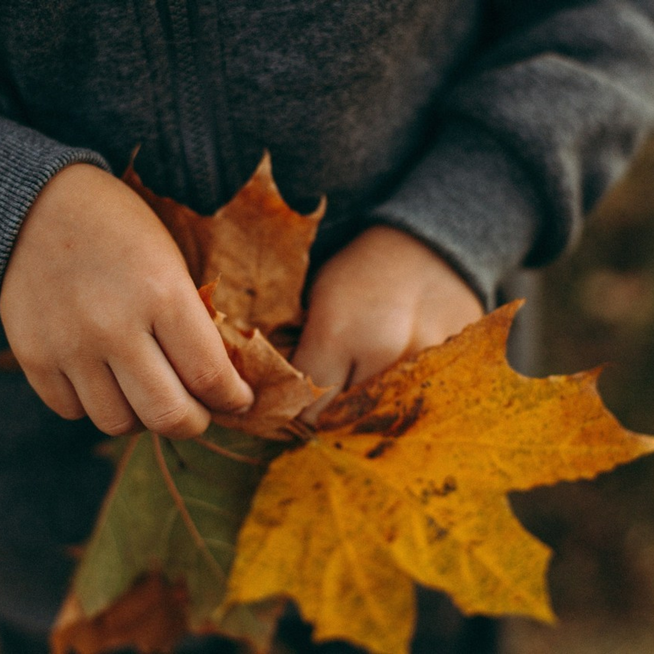 Отзывы. Семейный и портретный фотограф в Москве Татьяна Царенко