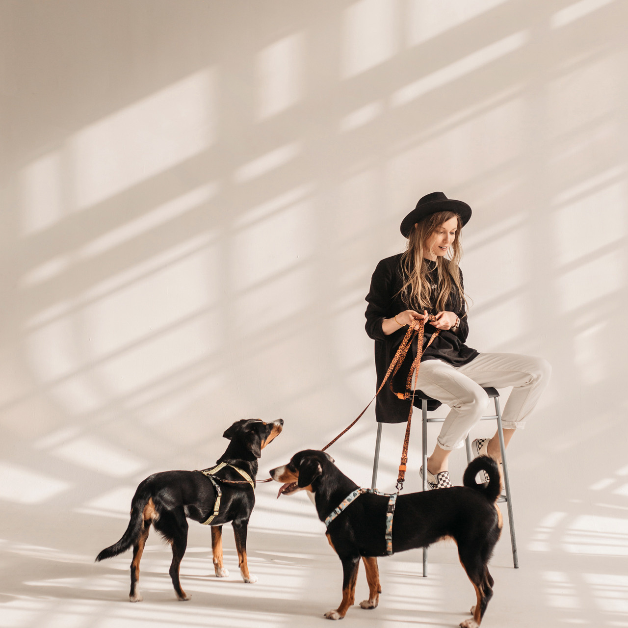 Аня, Вафля и Пикси