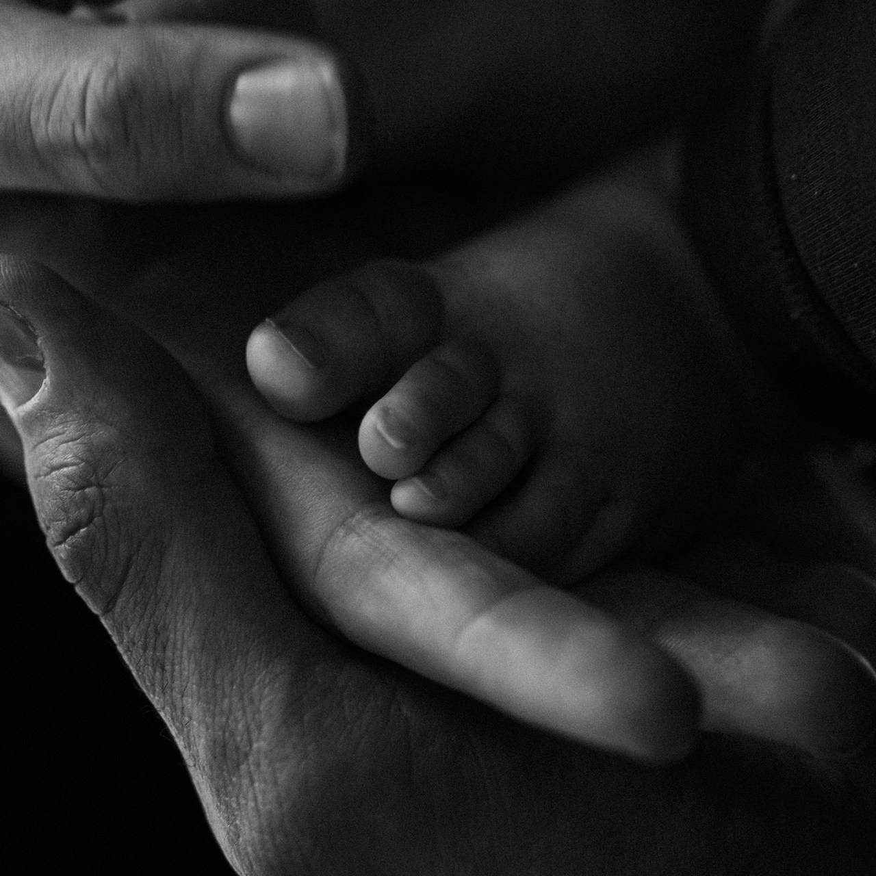 Отзывы. Фотограф в Саратове Максим Ветлицкий