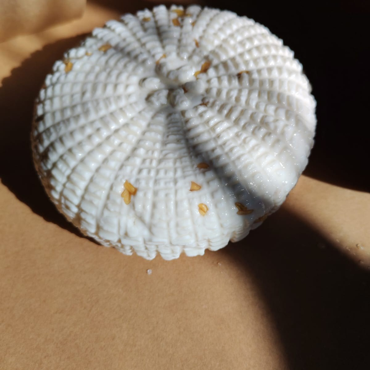 Отзывы. Семейный, детский и церковный фотограф в Воронеже Валентина Борзикова