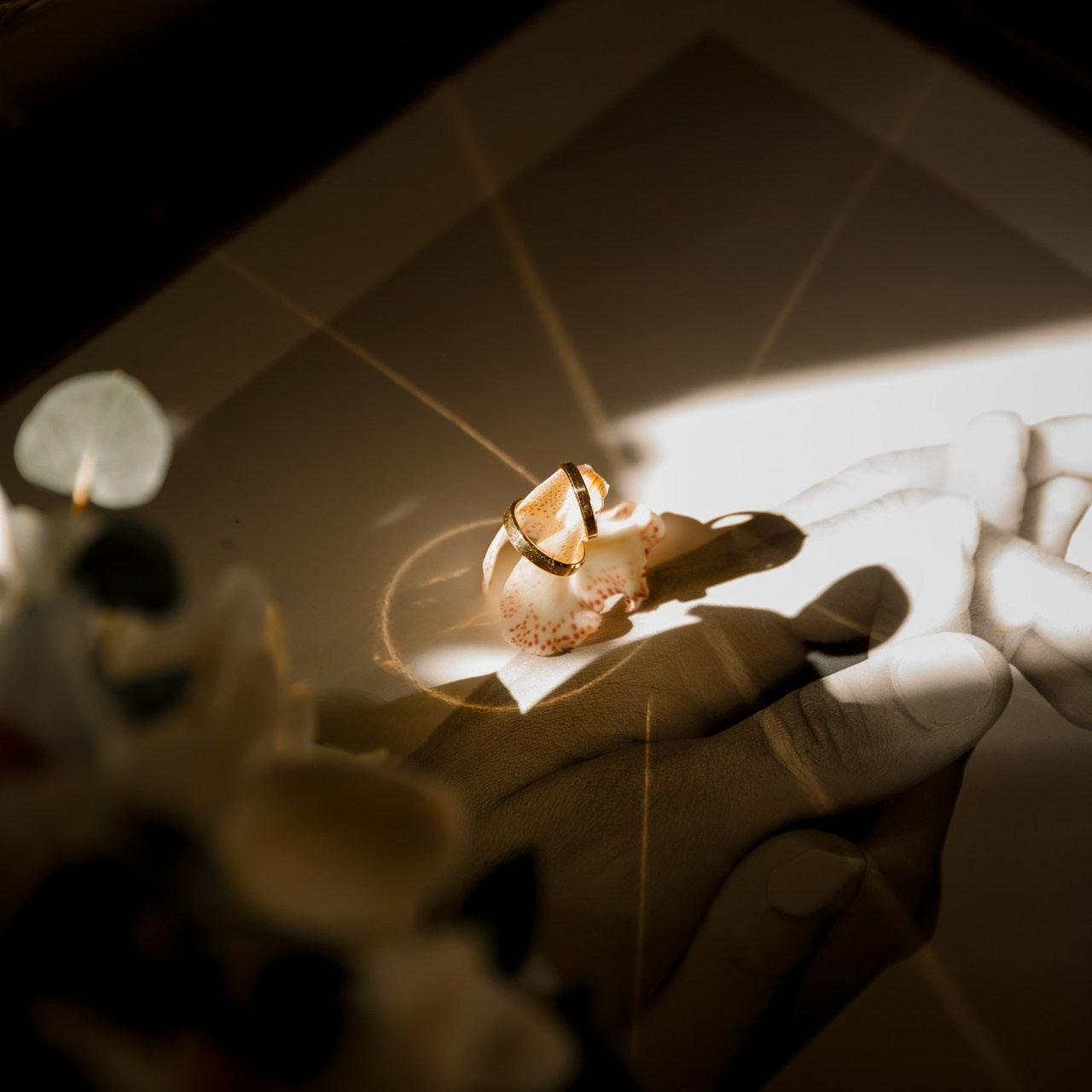 Отзывы. Ваш фотограф Любовь Чистякова