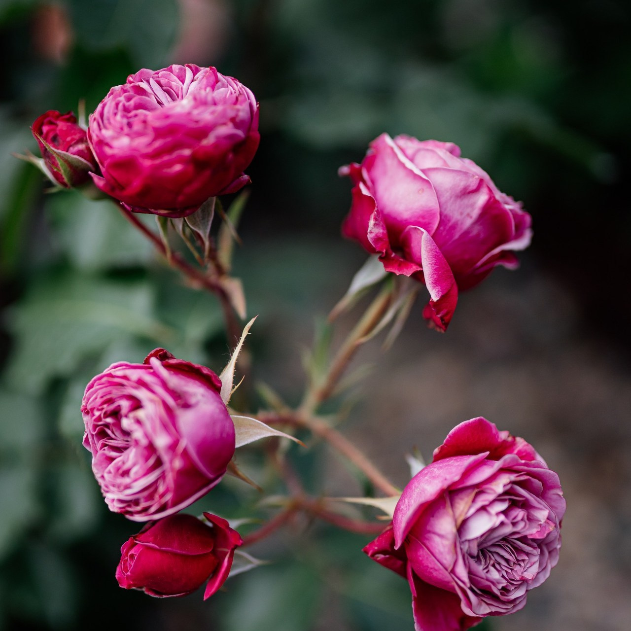 Отзывы. Семейный фотограф в Краснодаре