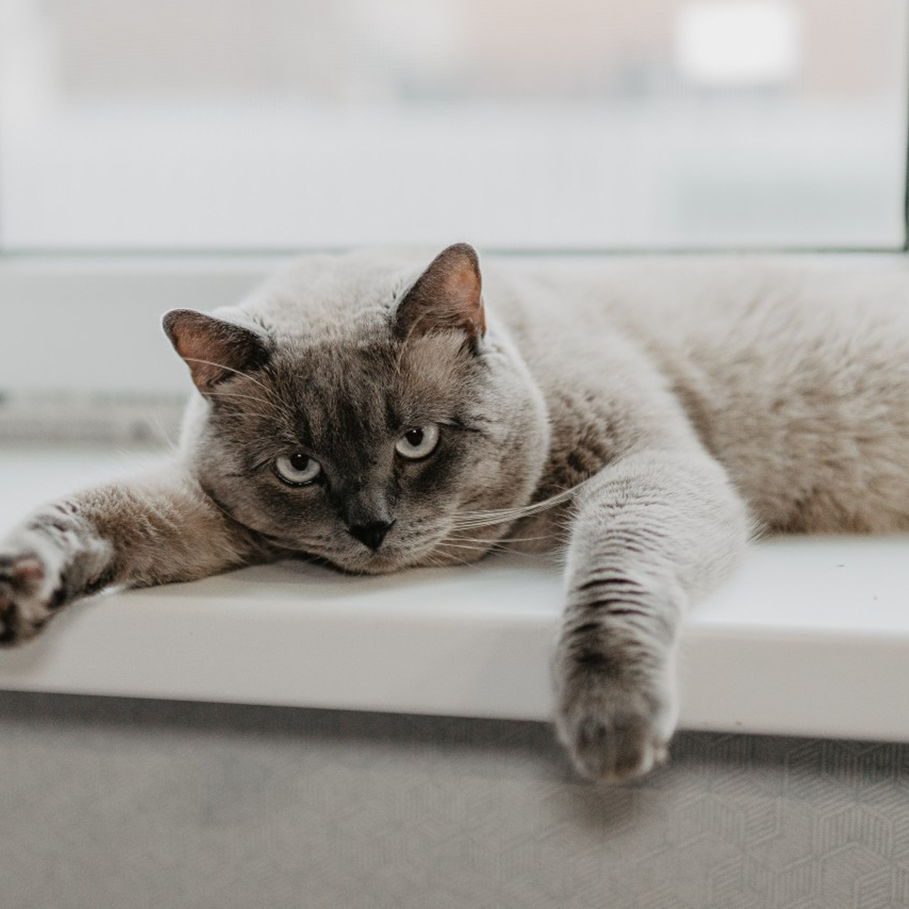 Отзывы. Семейный фотограф в Краснодаре