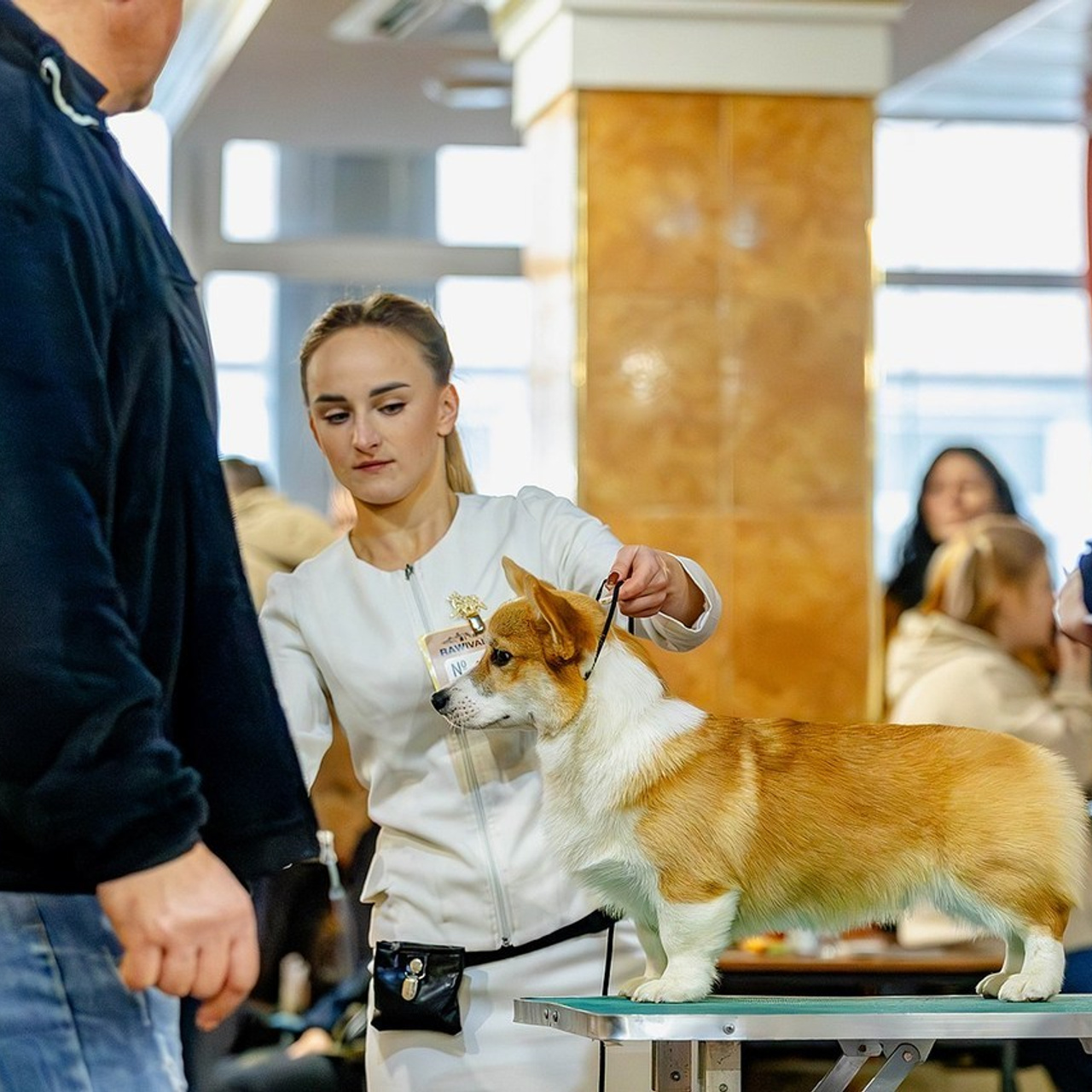 Отзывы. Https://moshkovaphoto.ru/