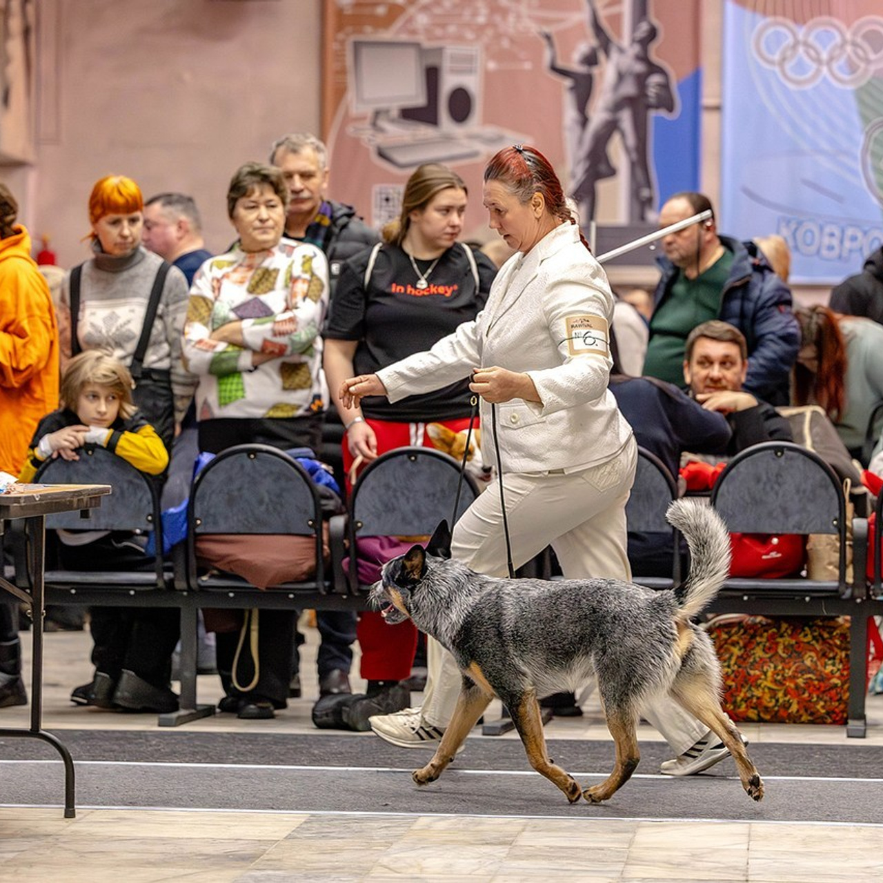 Отзывы. Https://moshkovaphoto.ru/