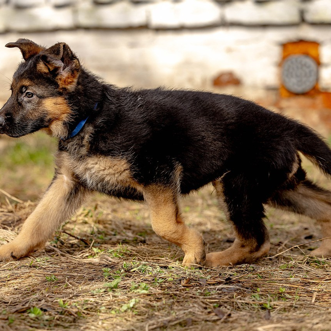 Отзывы. Https://moshkovaphoto.ru/