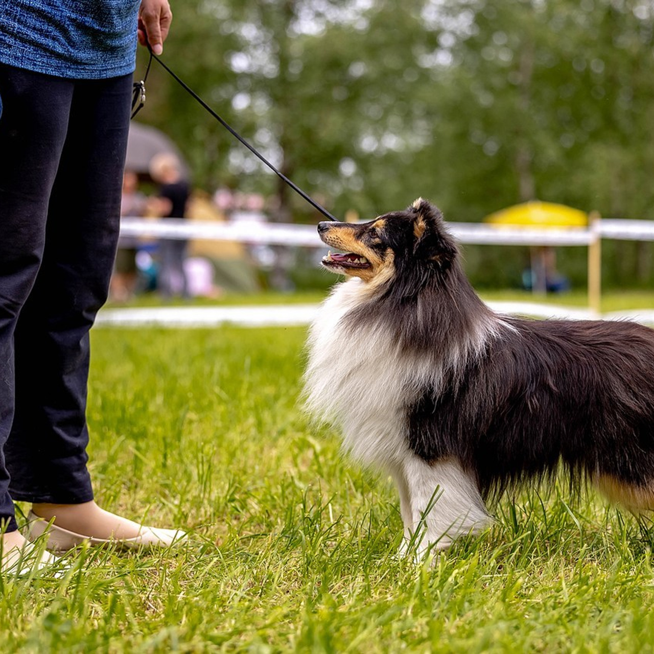 Отзывы. Https://moshkovaphoto.ru/