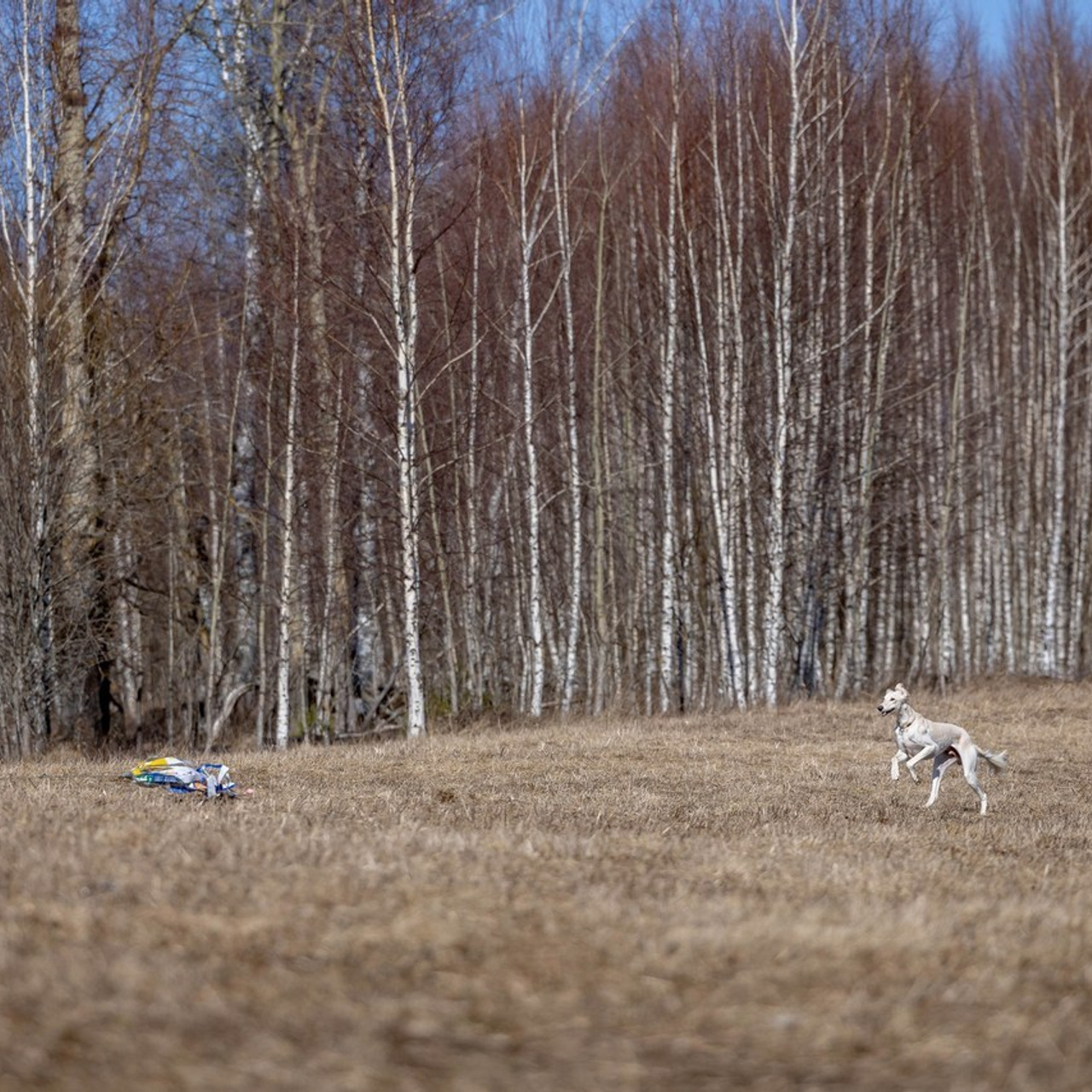 Отзывы. Https://moshkovaphoto.ru/