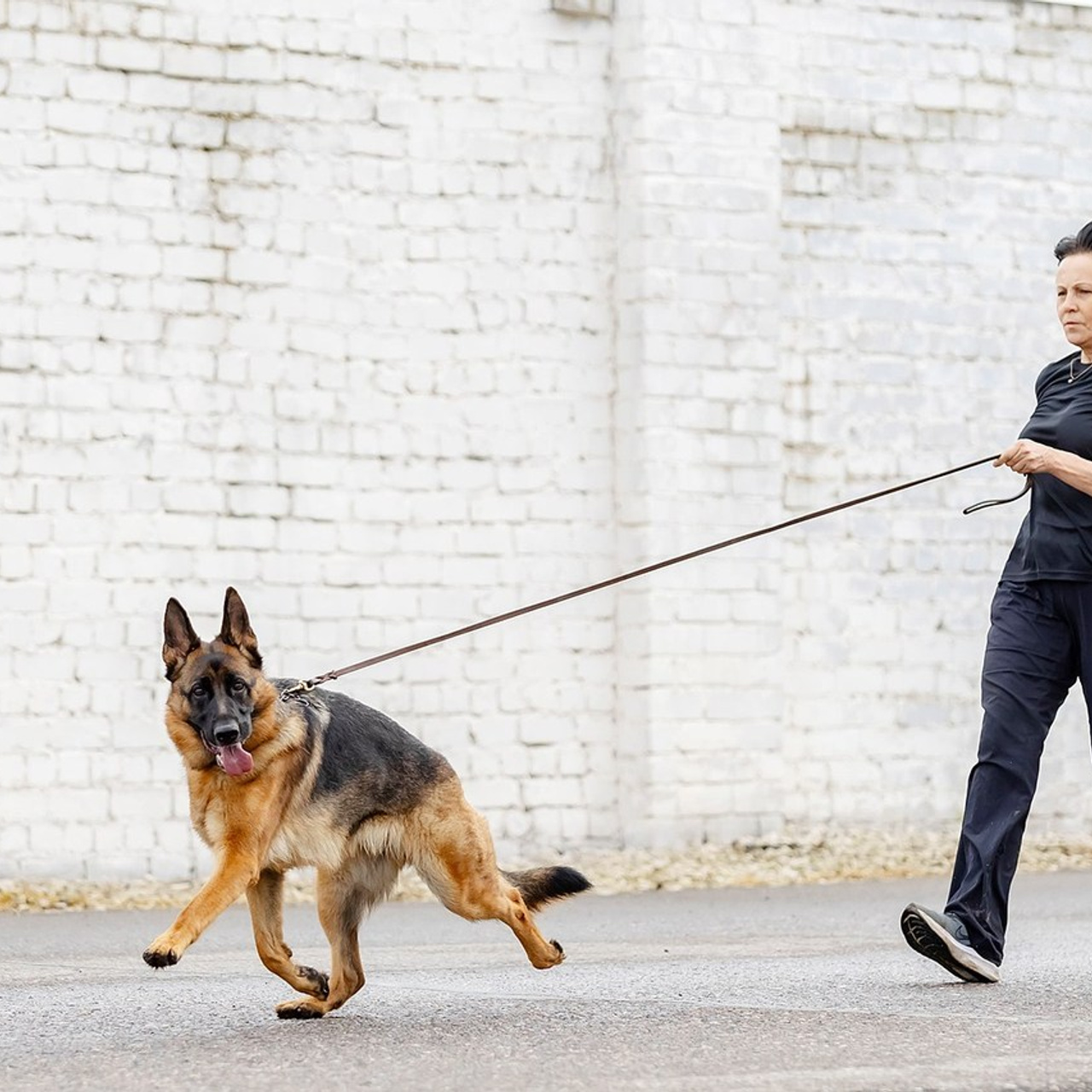 Отзывы. Https://moshkovaphoto.ru/