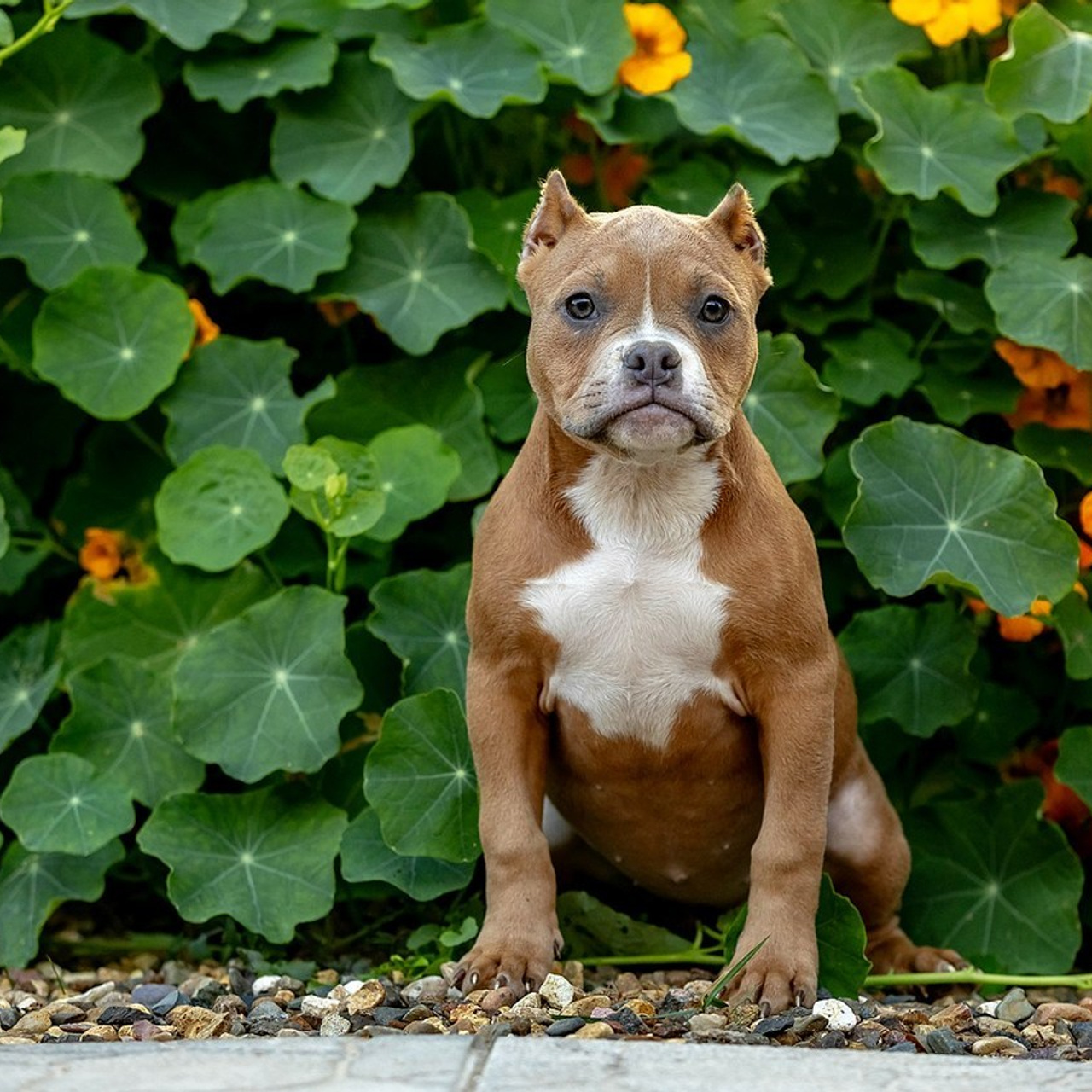 Отзывы. Https://moshkovaphoto.ru/