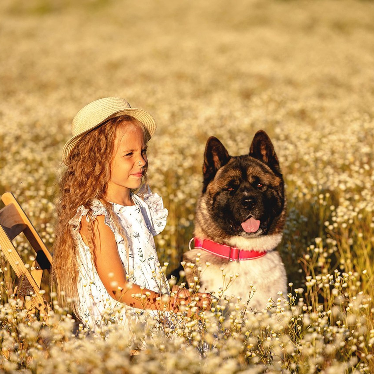 Отзывы. Https://moshkovaphoto.ru/