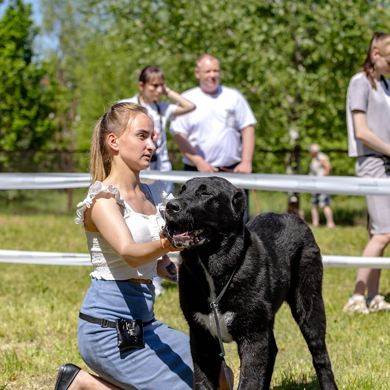 Отзывы. Https://moshkovaphoto.ru/