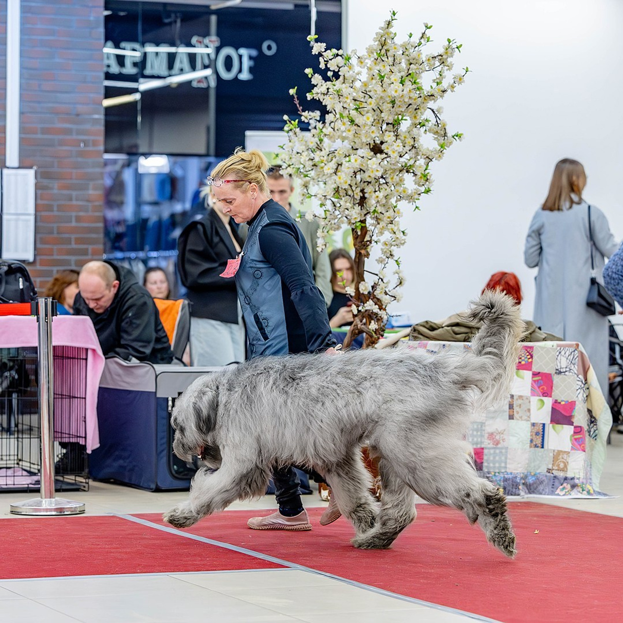 Отзывы. Https://moshkovaphoto.ru/