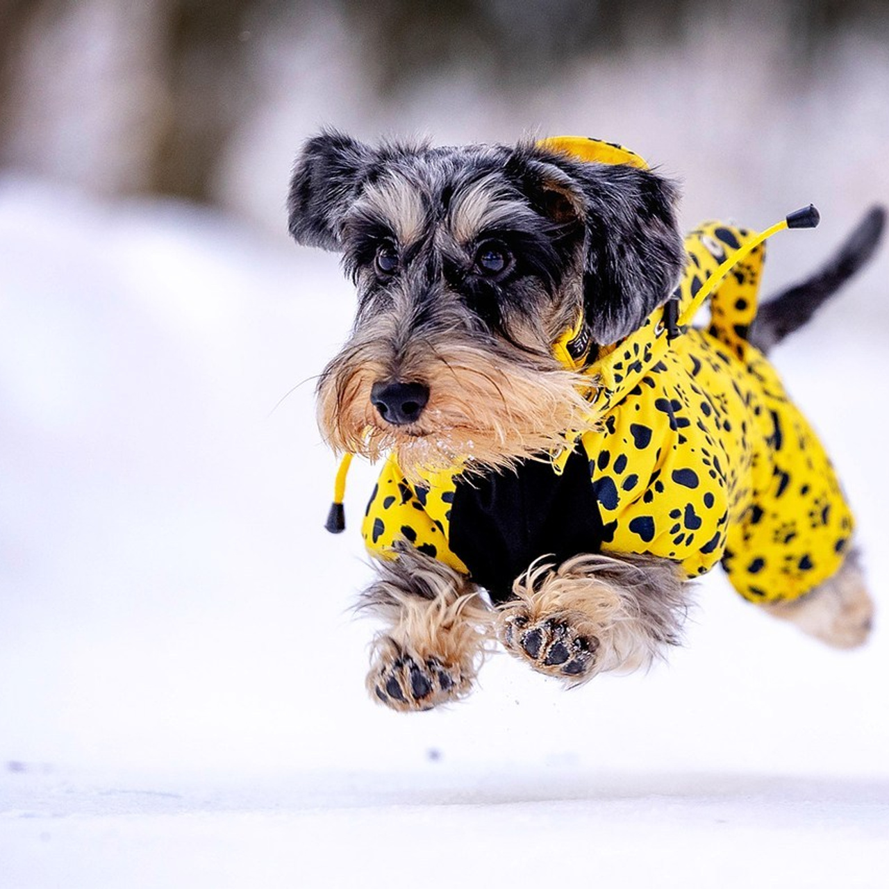 Отзывы. Https://moshkovaphoto.ru/